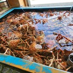 お食事処 かにや - 