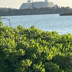 ハイアットリージェンシー 瀬良垣アイランド沖縄 - 