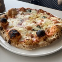 CODA ROSSA - 
