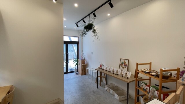 コーヒー MIO Mio Coffee - A RITUAL FOR LIFE- Premium Beans