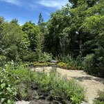 レストラン ナズ - 