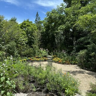 レストラン ナズ - 