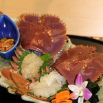 旬彩鈴吉 - うちわ海老のお刺身