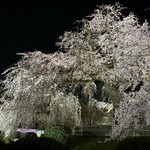 わしょく宝来 - 