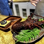 entre nous - 先のカクテル用の伊勢海老。
      こちらは翌日用だそうですが、この日も同じサイズだったそう。立派ー(^^)