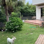 館山美食倶楽部 - 