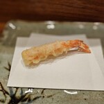 天冨良 よこ田 - 