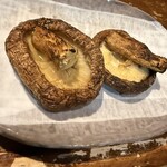 ヒナイスタンド - 