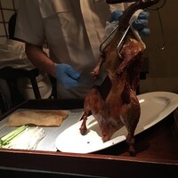 大傳梅梅 - 