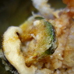 てんぷら天夜一夜 - 素晴らしい衣♪