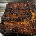 五丁目海鮮酒場 季いろ - 