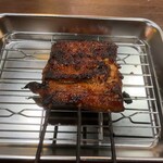 五丁目海鮮酒場 季いろ - 