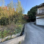 スロー レストラン リード - 