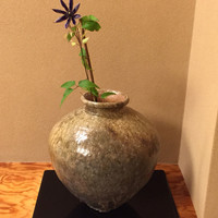 と村 - 