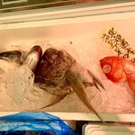 石塚魚店 - 大きな鯛の頭に釘付け！　頭割っていただきました