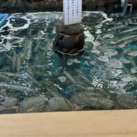 河太郎 中洲本店 - 
