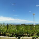 岬 丘の上食堂 - 