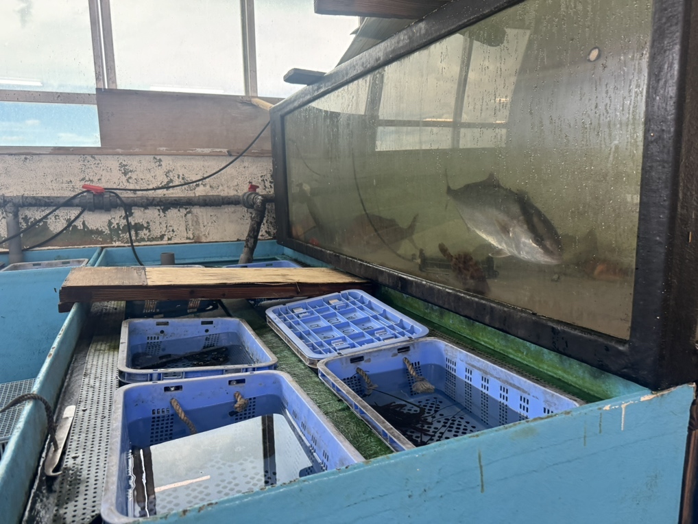 写真 : 丸健水産 （まるけんすいさん） - 天草市その他/海鮮 | 食べログ