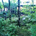 西国御領　風羅坊 - 風羅坊　其は　得体のしれない「何か」　の気配