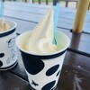 函館牛乳 あいす118  - 料理写真:ソフトクリームバニラ・カップ380円