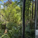 グリーンフィンガー - 