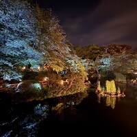 天婦羅ほり川 ホテルニューオータニ店 - 