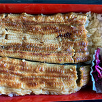 ての字 - 料理写真:鰻弁当中