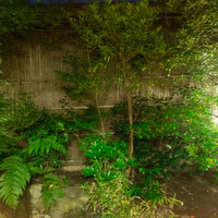 嵯峨野 - 