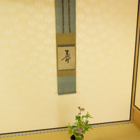 嵯峨野 - 