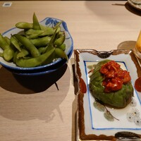 始祖鳥 - 