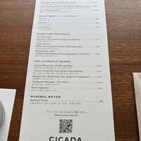 CICADA - 