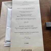 CICADA - 