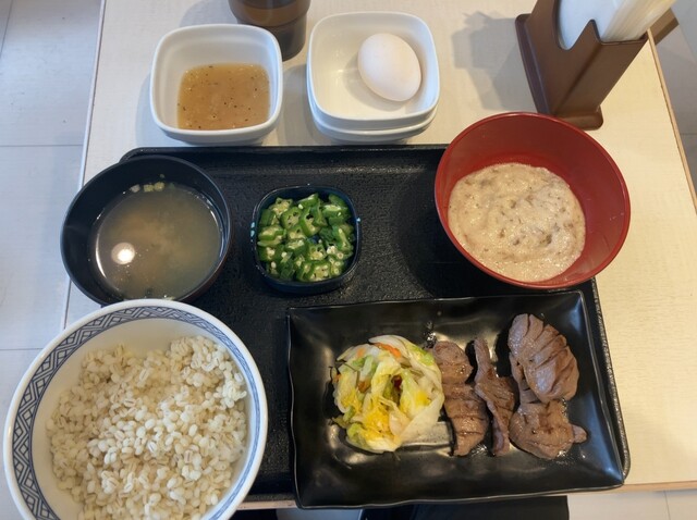 Yoshinoya Awa Za Ten