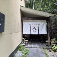 エルルカン・ビス - 