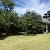 NEZUCAFE - 