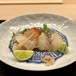 道人 - 明石　鯛　淡路島　伊勢海老　愛知　本ミル貝　お造り