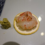 八志希 - 牡丹海老と北海島海老のデュオ