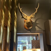 HongKongRoom GOUKA - 