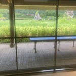 カステラショップ - 店内からの風景