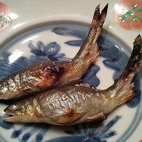 銀座 鮨 かねさか 本店 - 琵琶湖の子持ち鮎
