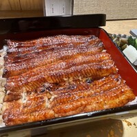 うなぎ 目白ぞろ芽 - 