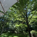 Cafe St. Maire KUMOBA