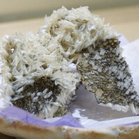 四季料理 きたがいち - 