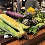 スガラボヴィー - 