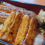 Una Fuji - A Strong Presence