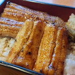 Una Fuji - A generous serving