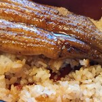 Una Fuji - Rice served in an appropriate portion