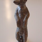 トーコーキッチン - ミーアキャット