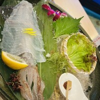 いけす鶴八 新栄店 - 