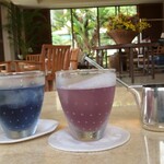 ザ･テラスクラブ アット ブセナ - ウェルカムドリンク